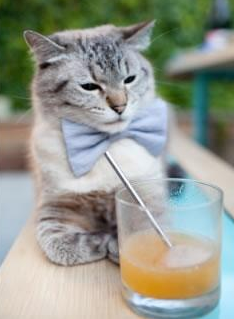 _线上线下结合打造智慧网球比赛体验_,线上线下比赛什么意思