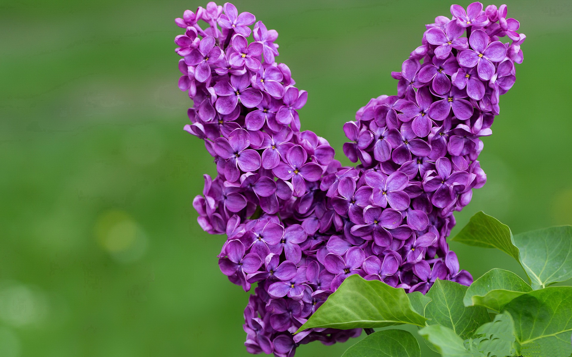 “西甲豪门临门一脚难破险局,比赛悬念持续”,西甲豪门七大豪门