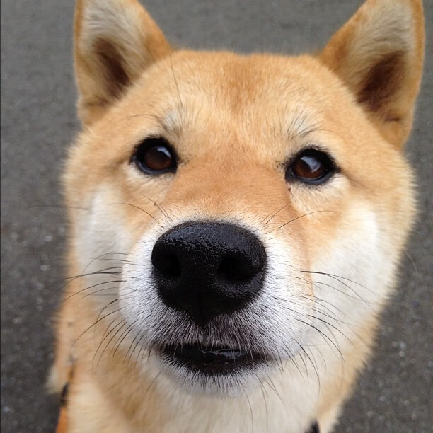 九游娱乐APP-“青春新力量”全国青训志愿者服务队在全国多地深入基层，助推青训事业发展